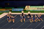 Dcim13550/DSC_6534