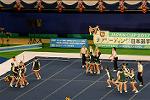 Dcim13550/DSC_6537