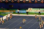Dcim13550/DSC_6539