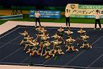 Dcim13550/DSC_6559