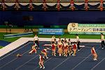 Dcim13550/DSC_6567