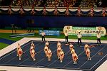 Dcim13551/DSC_6584