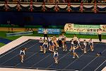 Dcim13551/DSC_6602