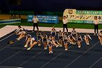 Dcim13551/DSC_6619