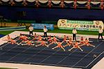 Dcim13551/DSC_6656