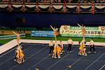 Dcim13553/DSC_7019