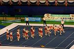 Dcim13554/DSC_7154