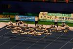 Dcim13555/DSC_7393