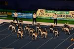 Dcim13555/DSC_7397