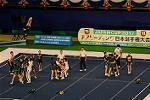 Dcim13558/DSC_7781