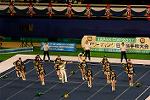 Dcim13558/DSC_7782