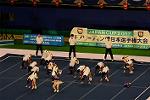 Dcim13558/DSC_7934