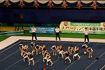 Dcim13559/DSC_8102