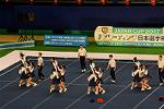 Dcim13560/DSC_8116