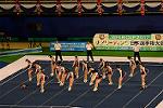 Dcim13561/DSC_8288