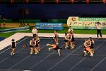 Dcim13561/DSC_8337