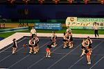 Dcim13561/DSC_8338