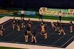 Dcim13561/DSC_8420