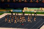Dcim13562/DSC_8460