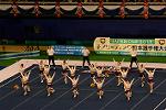 Dcim13562/DSC_8502