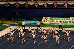 Dcim13562/DSC_8503
