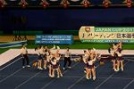 Dcim13562/DSC_8519