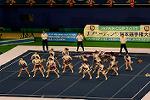 Dcim13562/DSC_8523