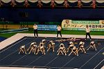 Dcim13562/DSC_8524