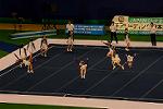 Dcim13562/DSC_8559