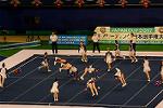 Dcim13562/DSC_8571