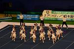 Dcim13563/DSC_8635