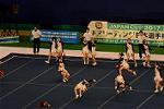 Dcim13563/DSC_8682