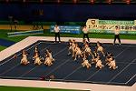 Dcim13563/DSC_8731