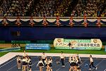 Dcim13563/DSC_8774