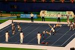 Dcim13564/DSC_8825