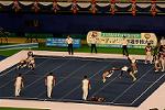 Dcim13564/DSC_8827