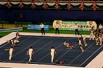 Dcim13564/DSC_8828