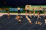 Dcim13564/DSC_8833