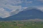 Dcim13578/DSC_0257