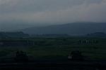 Dcim13591/DSC_2146