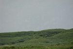 Dcim13601/DSC_2906