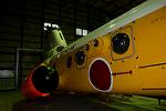 Dcim13613/DSC_4232