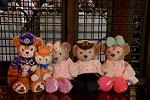 Dcim13615/DSC_4524