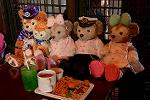 Dcim13615/DSC_4527