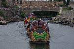 Dcim13629/DSC_1312