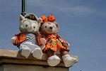 Dcim13632/DSC_6263