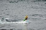 Dcim13633/DSC_6354