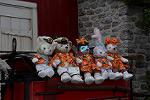 Dcim13636/DSC_6869