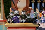 Dcim13647/DSC_7915