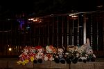 Dcim13654/DSC_8978